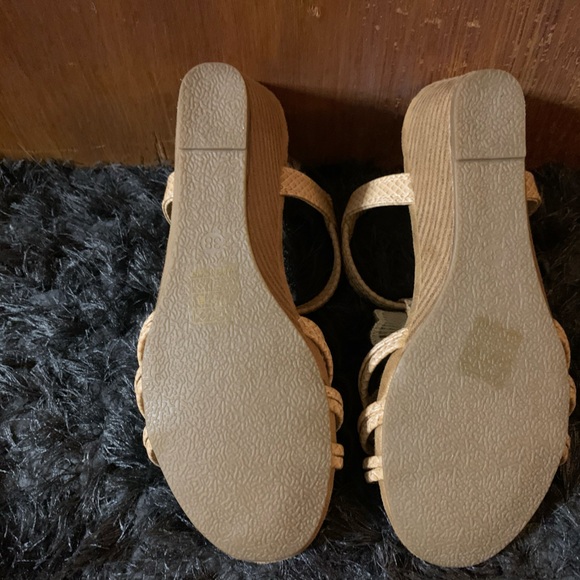 Patrizia flowering - Picture 2 of 3